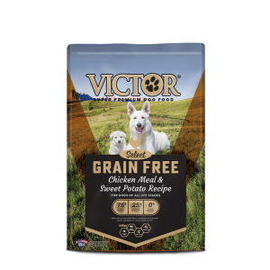 Victor Select Grain Free Chicken Meal and Sweet Potato Recipe Dog Food Formula sold by Pet Central Trinidad in Trinidad and Tobago