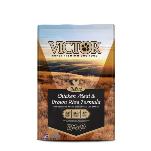 Victor Select Chicken Meal and Brown Rice Dog Formula sold by Pet Central Trinidad