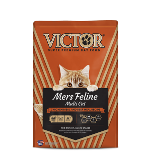 Victor Mers Feline sold by Trinidad and Tobago